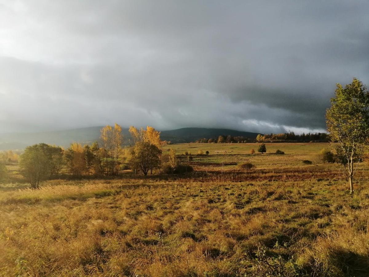 Pokoje Goscinne Przy Lesie Pobiedna Exterior foto