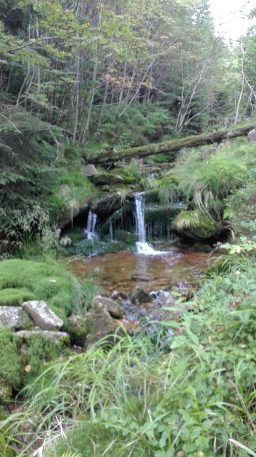 Pokoje Goscinne Przy Lesie Pobiedna Exterior foto